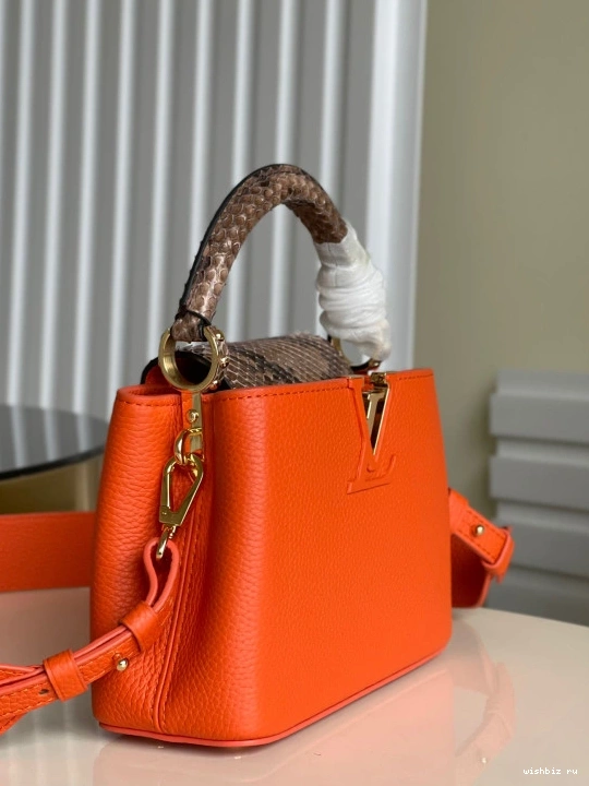 WIS VUITTON CAPUCINES MINI LOUIS 0111